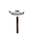 Blomus FUERRA Bird Feeder/Bird Bath